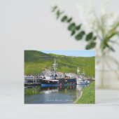 アラスカ、オランダ港、唾で海の冒険 ポストカード (スタンド正面)