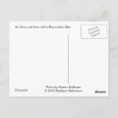 アラスカ,オルカとカーフ ポストカード (裏面)