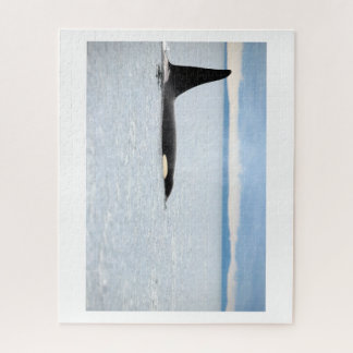 アラスカ – オルカ ジグソーパズル