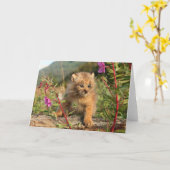 アラスカ，カナダのリンクス・キッテン カード (黄色い花)