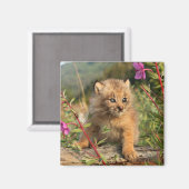 アラスカ，カナダのリンクス・キッテン マグネット (正面/裏面)