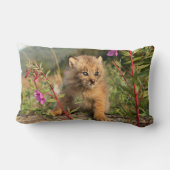 アラスカ,カナダのリンクス・キッテン ランバークッション (裏面)