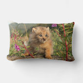 アラスカ,カナダのリンクス・キッテン ランバークッション (正面)