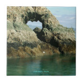 アラスカ・ガルアイランド タイル (正面)