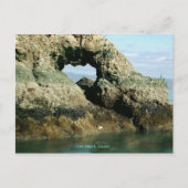 アラスカ・ガルアイランド ポストカード (正面)