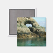 アラスカ・ガルアイランド マグネット (正面/裏面)