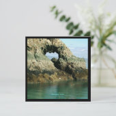 アラスカ・ガルアイランド 招待状 (スタンド正面)