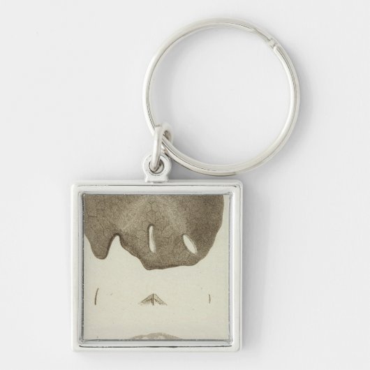 アラスカ キーホルダー (正面)