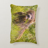 アラスカ，グリズリーキュブ放牧 アクセントクッション (裏面(縦))