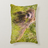 アラスカ，グリズリーキュブ放牧 アクセントクッション (正面(垂直))