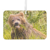 アラスカ，グリズリーキュブ放牧 カーエアーフレッシュナー (裏面)