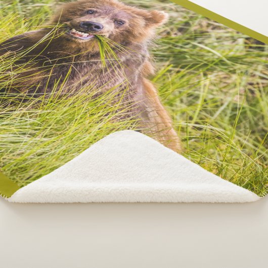 アラスカ，グリズリーキュブ放牧 シェルパブランケット (3/4)