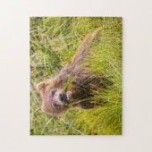 アラスカ，グリズリーキュブ放牧 ジグソーパズル (縦)