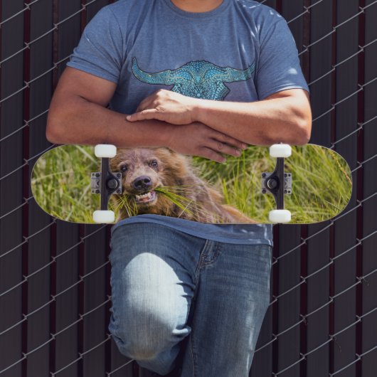 アラスカ,グリズリーキュブ放牧 スケートボード (室外3)