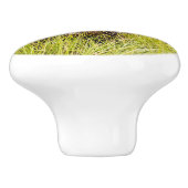 アラスカ，グリズリーキュブ放牧 セラミックノブ (側面)