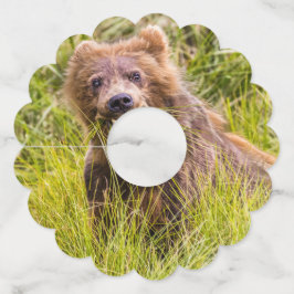 アラスカ，グリズリーキュブ放牧 ワイングラスタグ