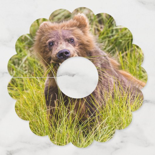 アラスカ，グリズリーキュブ放牧 ワイングラスタグ (裏面)