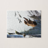 アラスカ – グリズリー1 ジグソーパズル (横)