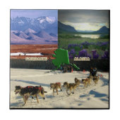 アラスカ・コラージュ・フェアバンクス タイル (正面)