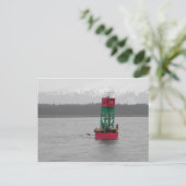 アラスカ、ジュノーのアシカ ポストカード (スタンド正面)