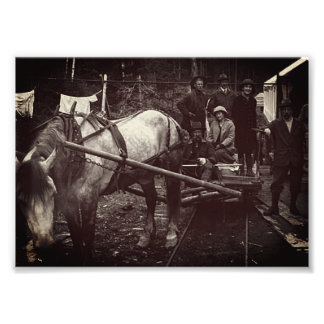 アラスカ、ジュノー、ケンジントン鉱山 フォトプリント           