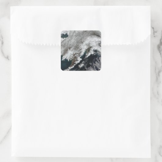 アラスカ スクエアシール (バッグ)