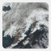 アラスカ スクエアシール (正面)