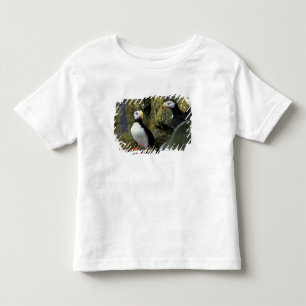 アラスカ セントポール島 プリビロフ諸島 ケイマクハシブッポウソウ トドラーTシャツ