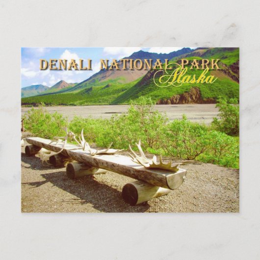 アラスカ・デナリ国立公園 ポストカード (正面)