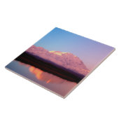 アラスカ、デナリ国立公園、マッキンリー山 タイル (側面)