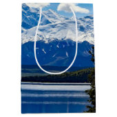 アラスカ，デナリ国立公園 ミディアムペーパーバッグ (正面)