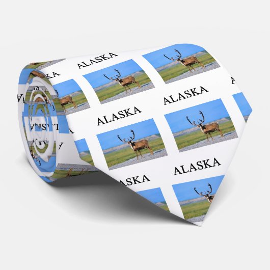 アラスカ ネクタイ (ロール)