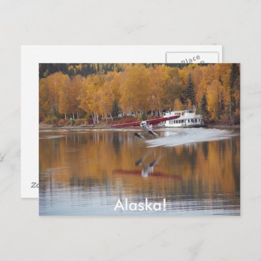 アラスカ、フロートプレーン、リバーボート、秋の樺の木の木 ポストカード (正面/裏面)