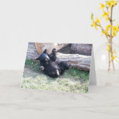 アラスカ・ブラック・ベア・カブ・グリーティング・カード カード (黄色い花)