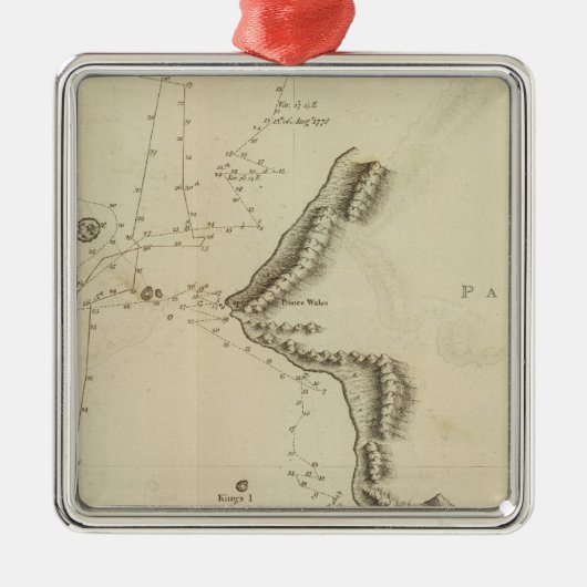 アラスカ、ベリングス海峡、ノートン海峡 メタルオーナメント (正面)