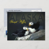 アラスカ，ホーンパフィン ポストカード (正面/裏面)