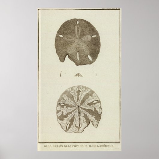 アラスカ ポスター (正面)