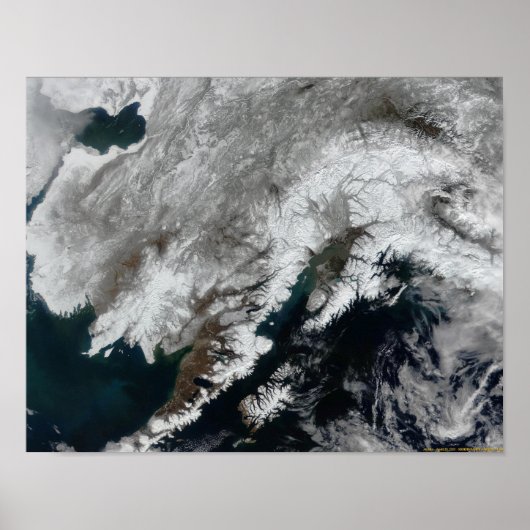 アラスカ ポスター (正面)