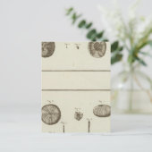 アラスカ ポストカード (スタンド正面)