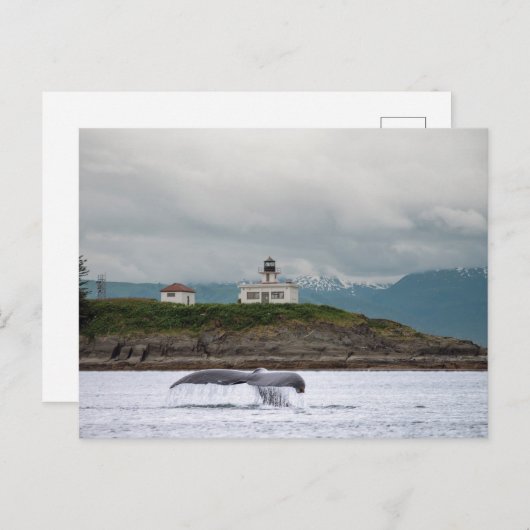 アラスカ ポストカード (正面/裏面)