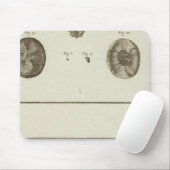 アラスカ マウスパッド (マウス)