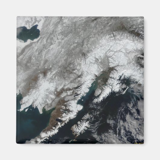 アラスカ マグネット (正面)