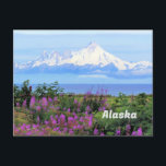 アラスカ、山イリアムナ氷河と雑草の花 ポストカード<br><div class="desc">山イリアム</div>