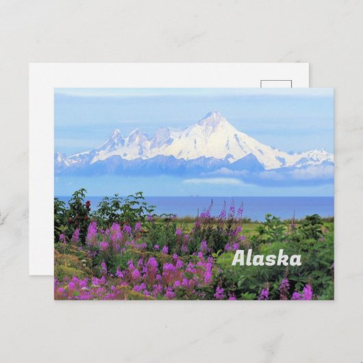 アラスカ、山イリアムナ氷河と雑草の花 ポストカード (正面/裏面)