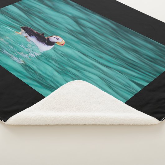 アラスカ、復活ベイのプフィン シェルパブランケット (3/4)