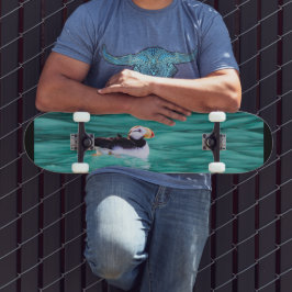 アラスカ、復活ベイのプフィン スケートボード