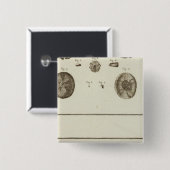 アラスカ 缶バッジ (正面&裏面)