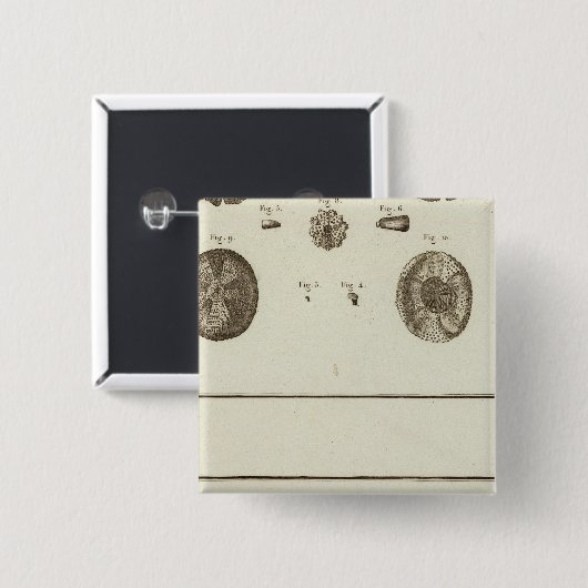 アラスカ 缶バッジ (正面&裏面)