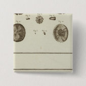 アラスカ 缶バッジ (正面)