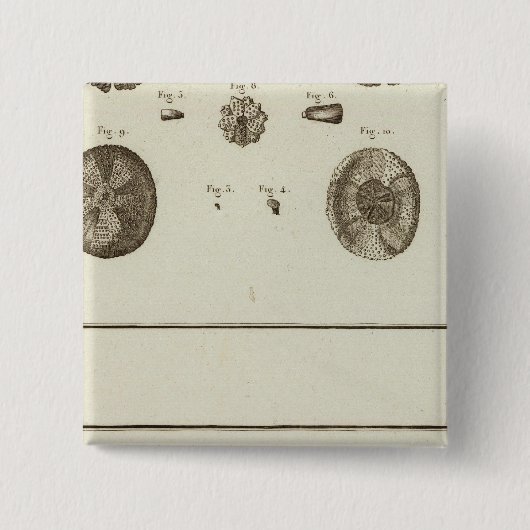 アラスカ 缶バッジ (正面)